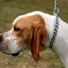 Pointer