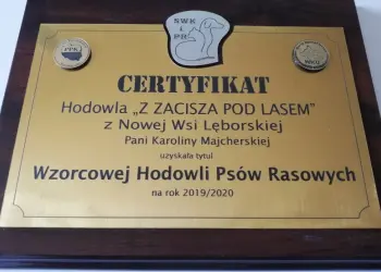 hodowla Z Zacisza Pod Lasem