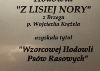 hodowla Z Lisiej Nory