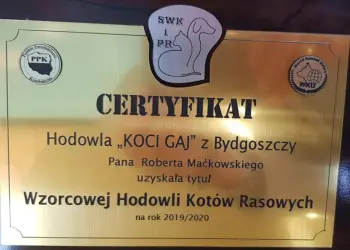hodowla Koci Gaj