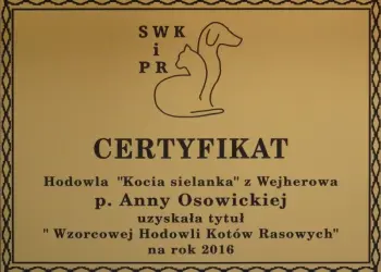 hodowla Kocia Sielanka