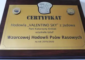 hodowla Valentino Sky