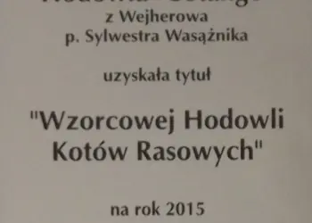 hodowla Cotango