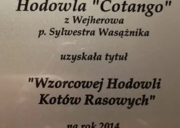 hodowla Cotango