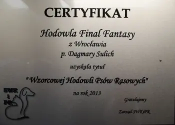 hodowla Final Fantasy