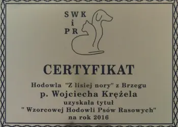 hodowla Z Lisiej Nory