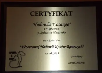 hodowla Cotango