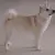Norsk Buhund
